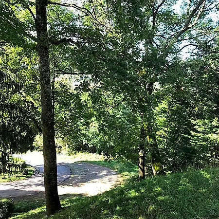 Les Et Parc De Paletes